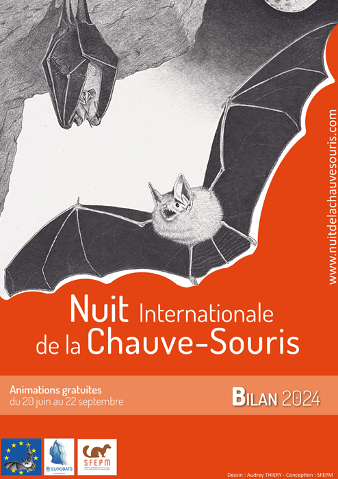 Couverture_Bilan_SFEPM_NICS_2024