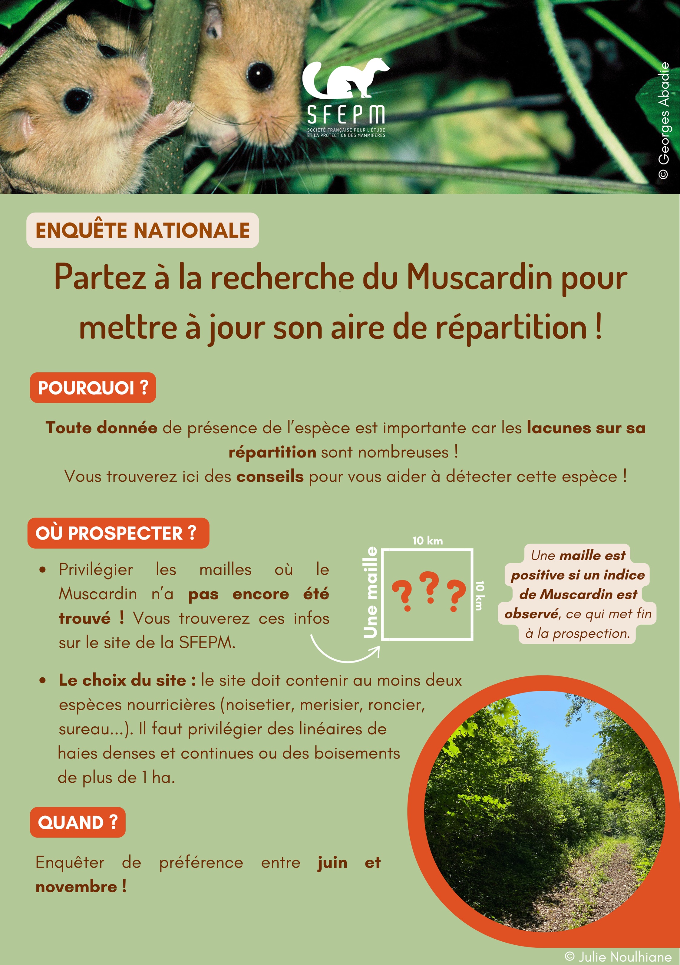 protocole_muscardin