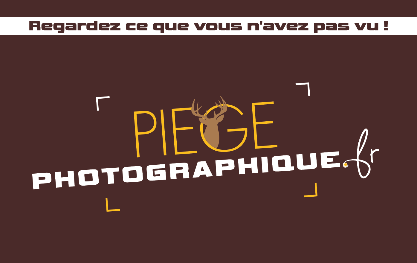 Piège photographique