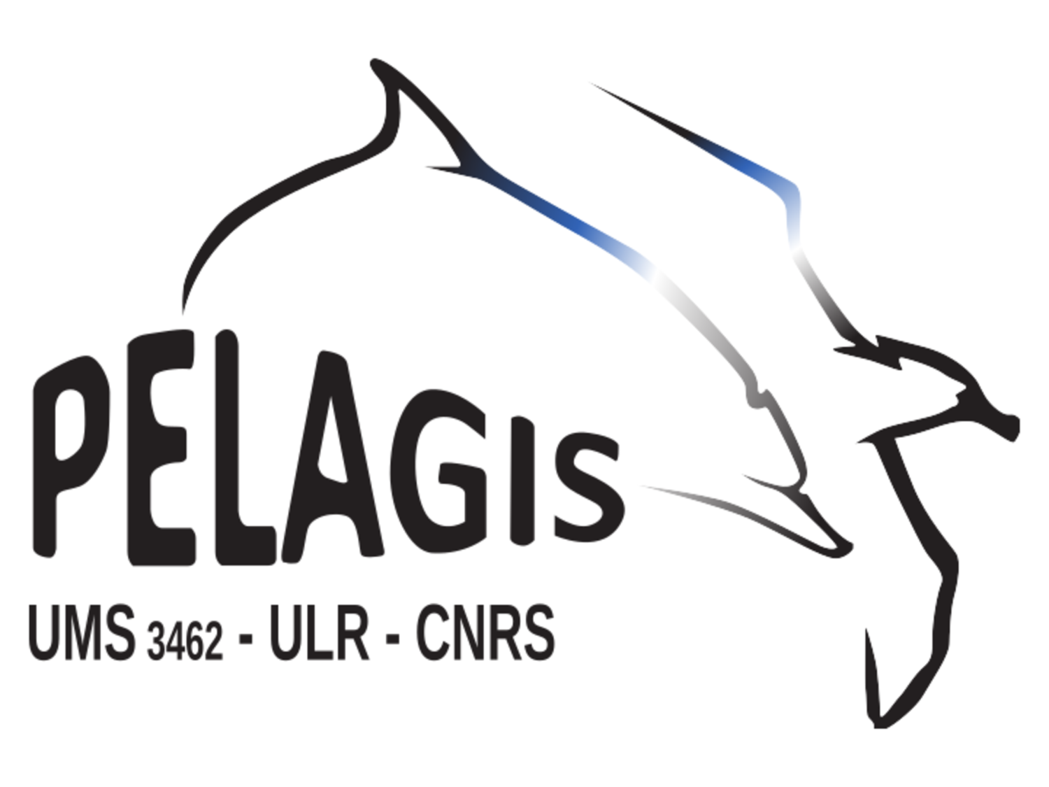 Logo_Pelagis