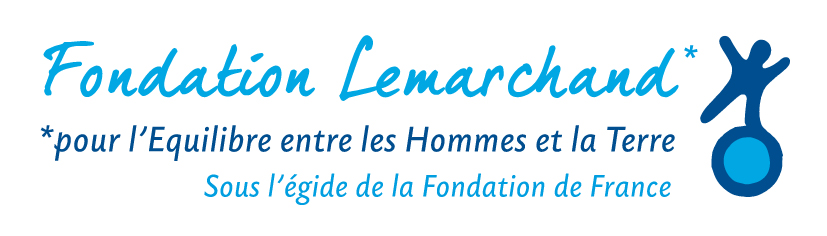 Logo Fondation Lemarchand