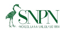 SNPN