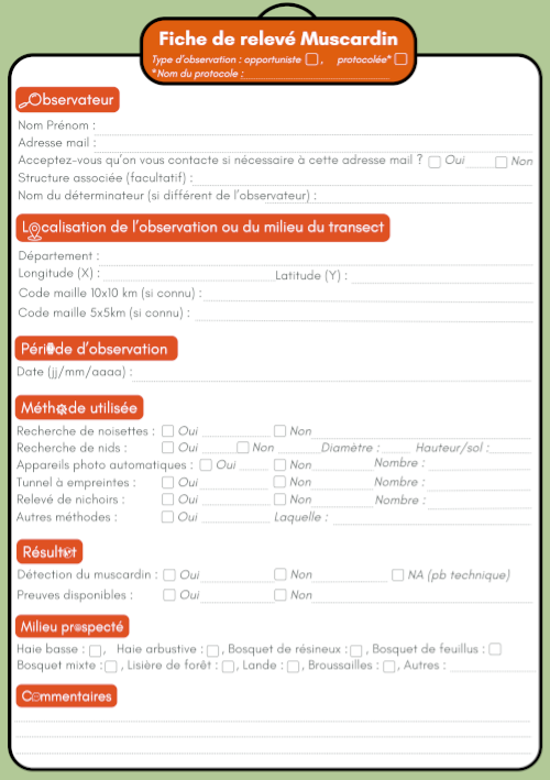 fiche_muscardin