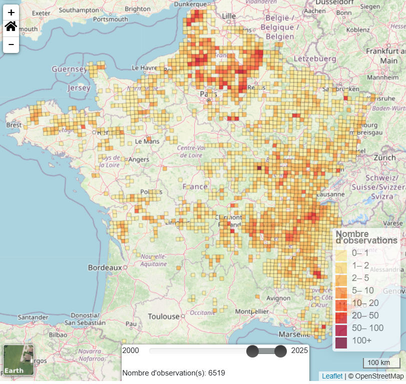 Muscardin_ONM_2025