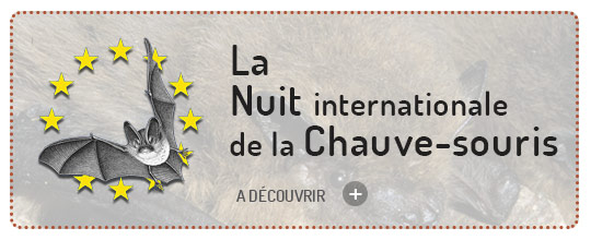 La nuit internationale de la chauve-souris