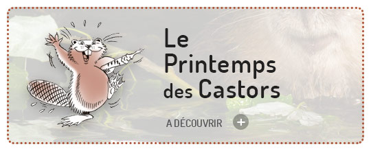 Le printemps des castors