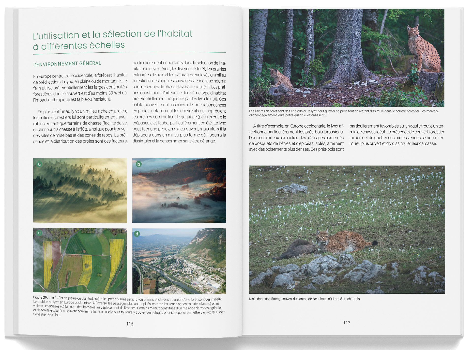 lynxboreal_biotope_int2