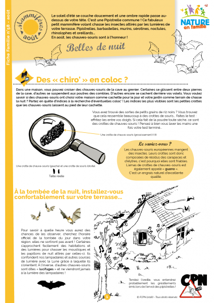 Fiche CPN - Belles de Nuit Fiche CPN - Belles de Nuit