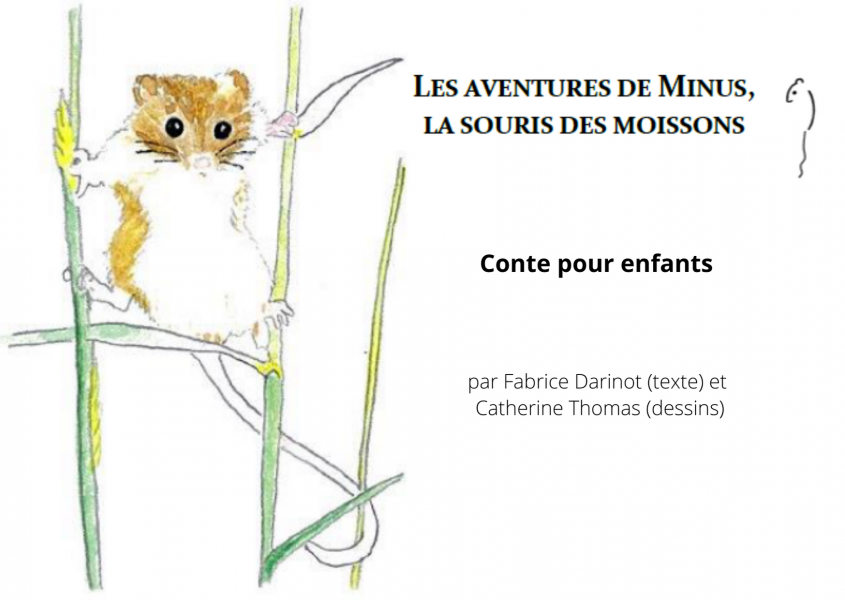 Conte_Minus_Fabrice_Darinot Conte_Minus_Fabrice_Darinot