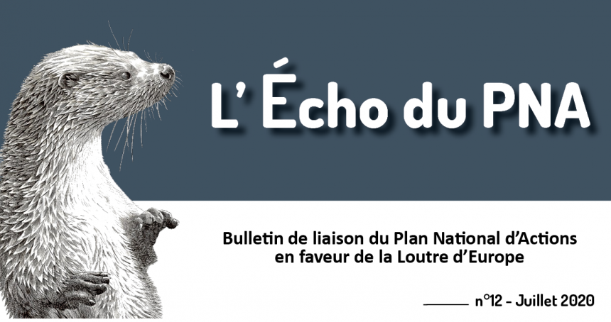 Echo du PNA Loutre 12