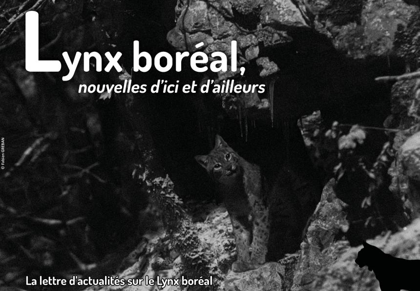 Feuille d'actus Lynx_21_mars2025-web