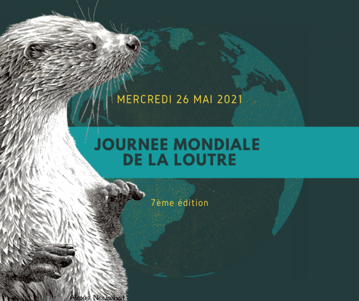 Journée mondiale de la Loutre 26 mai 2021