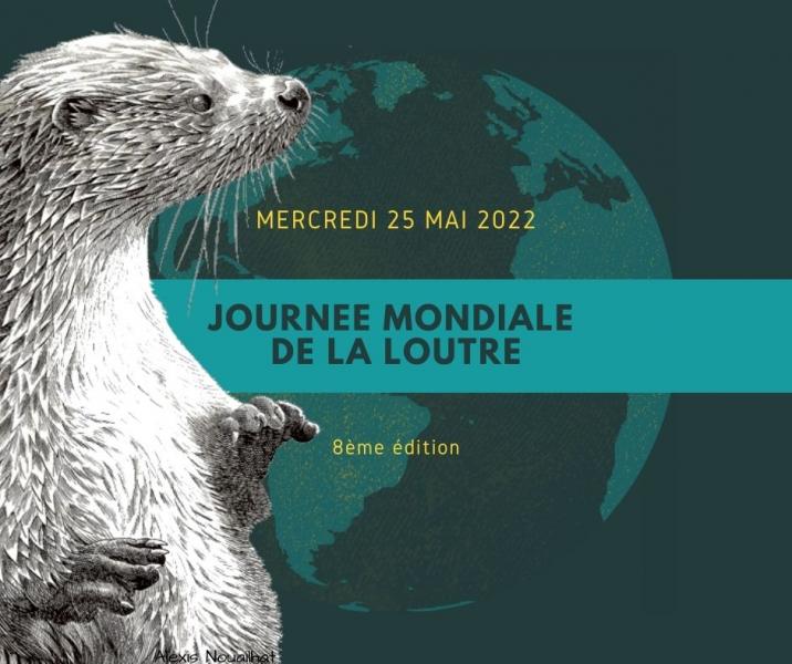 Journee-mondiale-loutre-2022 Journee-mondiale-loutre-2022