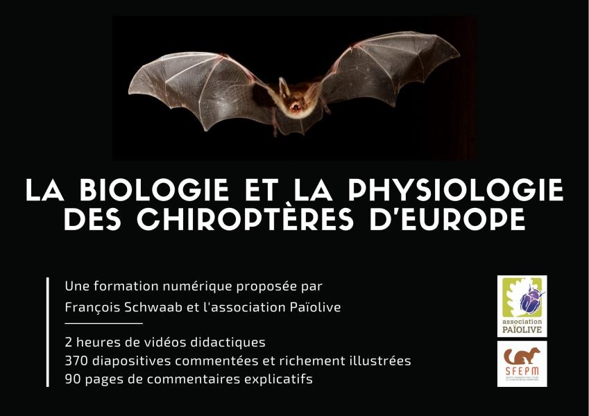 La biologie et la physiologie des Chiroptères d'Europe
