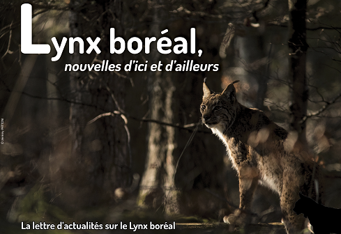 Lettre_Actualite_Lynx_SFEPM_Jeremy_PATTON Lettre_Actualite_Lynx_SFEPM_Jeremy_PATTON