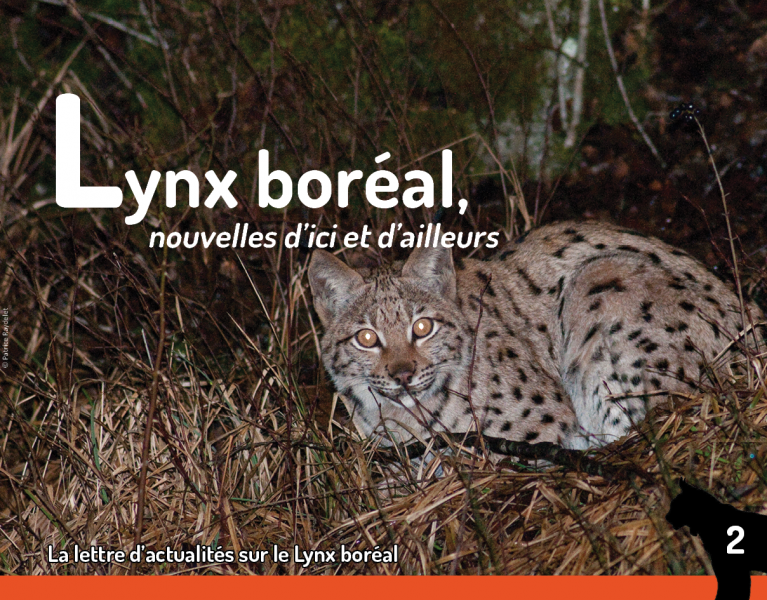 Couverture Feuille d'actualités Lynx n°2 - Patrice Raydelet