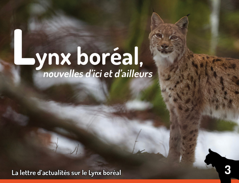 Couverture Lettre d'actualités Lynx n°3 - Didier Pépin
