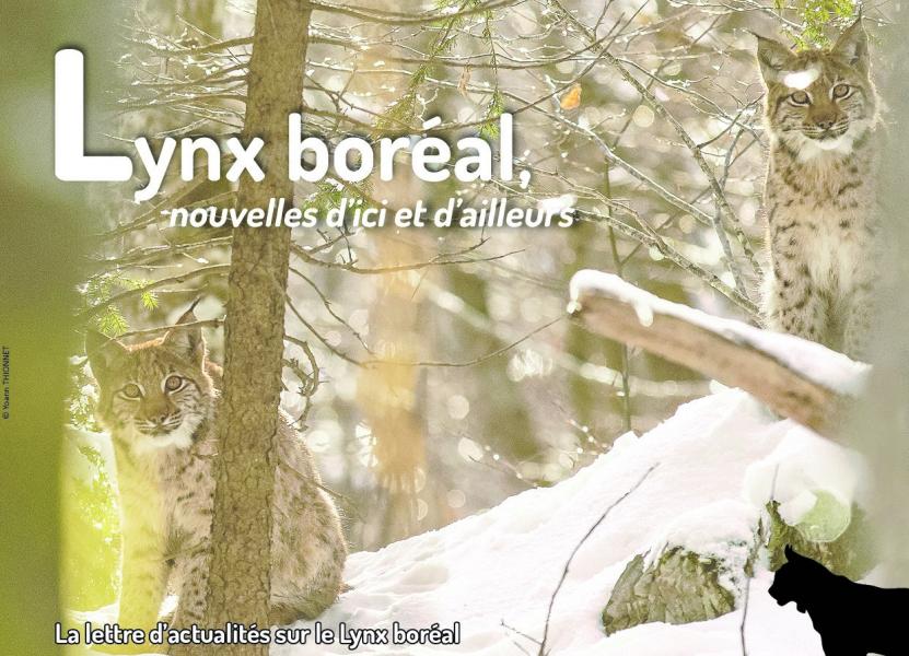 Lettre_Actualite_Lynx_SFEPM_Yoann_THIONNET Lettre_Actualite_Lynx_SFEPM_Yoann_THIONNET