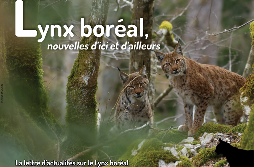 Lettre_Actualite_Lynx_SFEPM_Julien_Lhomme Lettre_Actualite_Lynx_SFEPM_Julien_Lhomme
