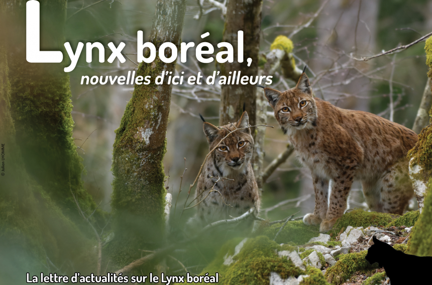 Lettre_Actualite_Lynx_SFEPM_Julien_Lhomme