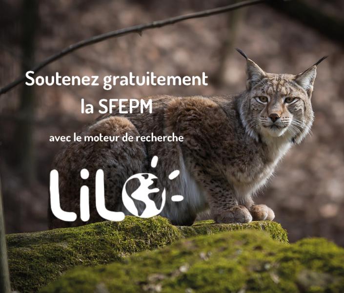 SFEPM et LILO SFEPM et LILO