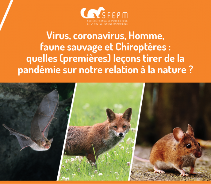 Réflexions de la SFEPM : Virus, coronavirus... Réflexions de la SFEPM : Virus, coronavirus...