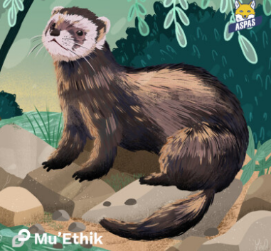 Putois-Mu'Ethik Putois-Mu'Ethik