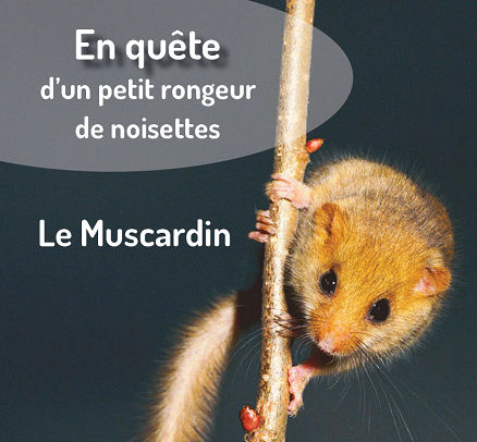 En quête du Muscardin 