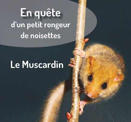 Quête_Muscardin2022 Quête_Muscardin2022