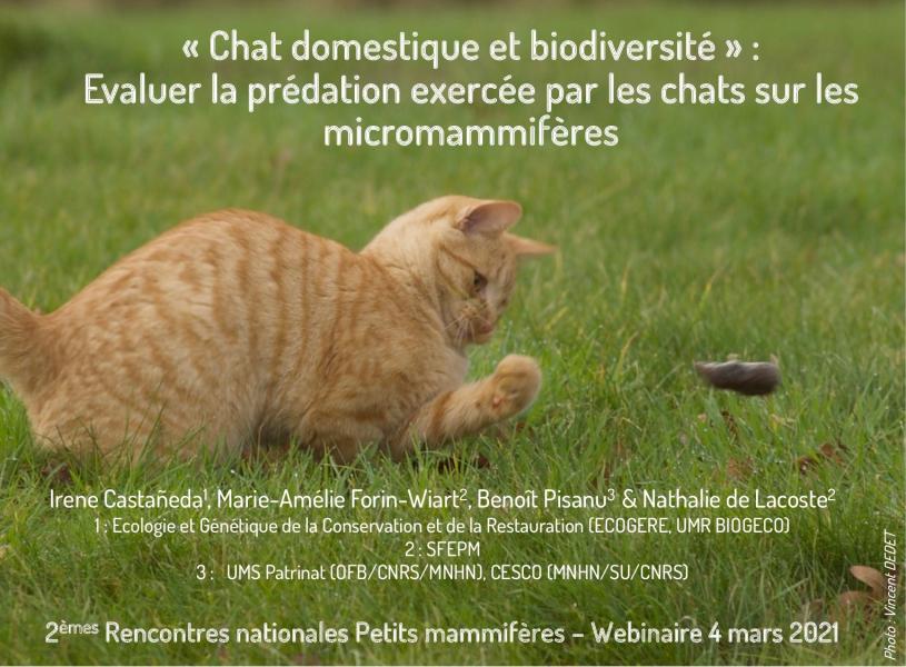 Présentation Chat-2RNPM Présentation Chat-2RNPM