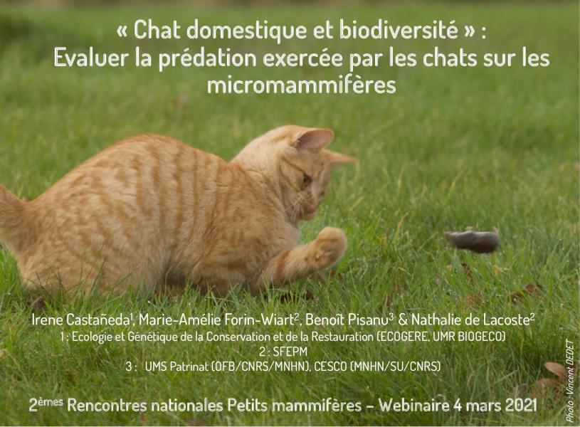 Présentation Chat-2RNPM