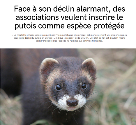 LaRelèveEtLaPeste LaRelèveEtLaPeste
