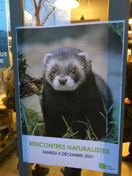 Affiche_13emes_Rencontres_naturalistes_IDF