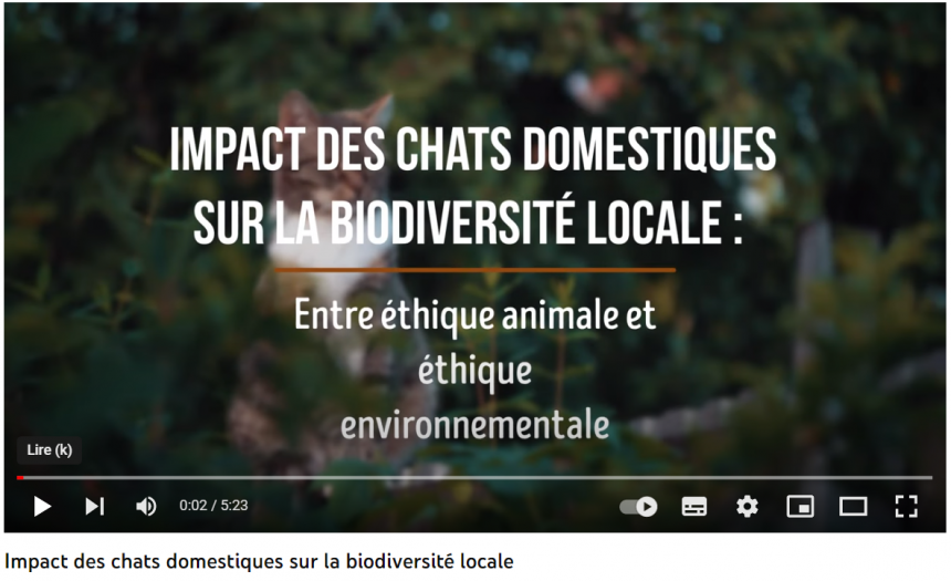 Le chat domestique et le droit de la conservation de la nature