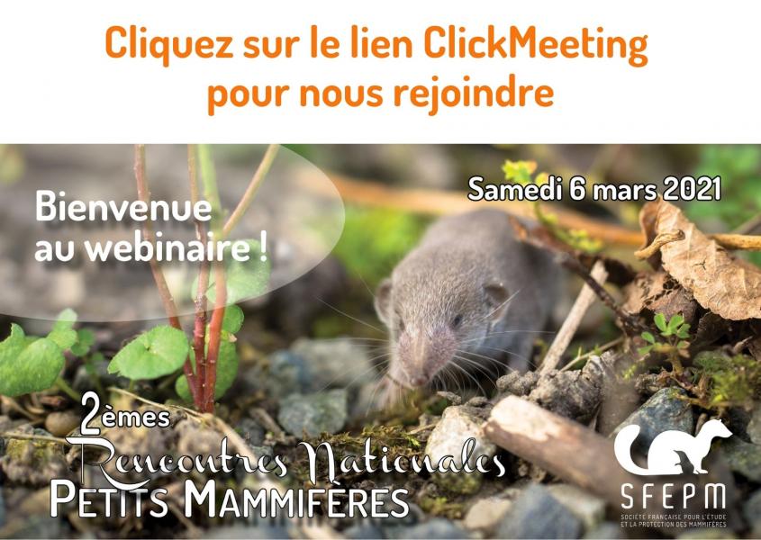 Visuel webinaire 2RNPM Visuel webinaire 2RNPM
