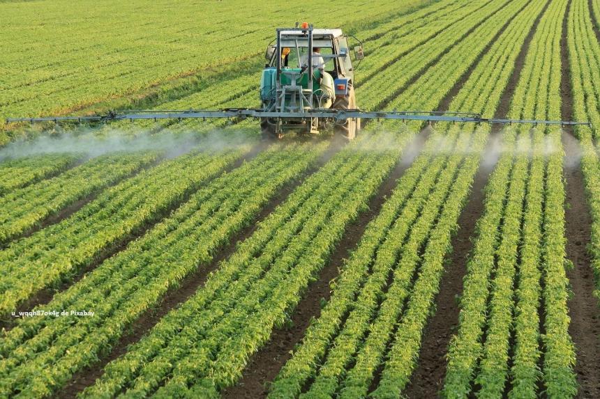 agriculture_LOA_CP_Juin2024-u_wqqh87ok4g_Pixabay