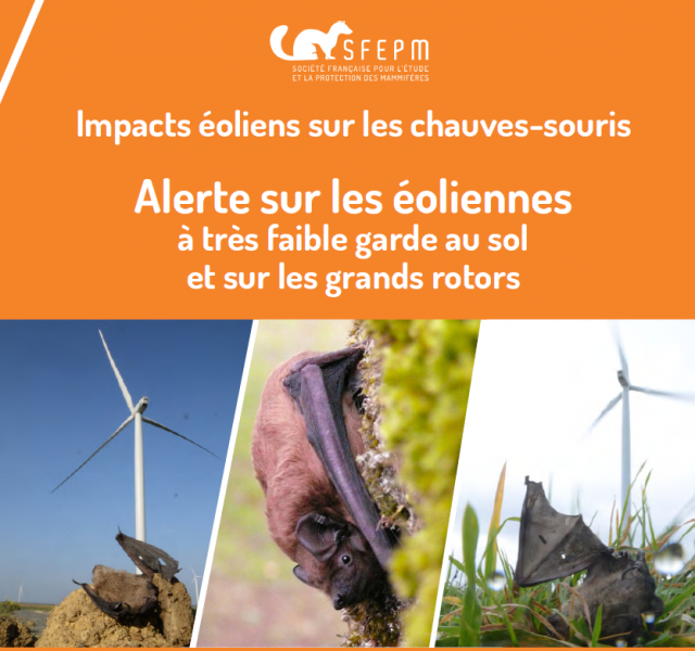 Impacts éoliens sur les chauves-souris Impacts éoliens sur les chauves-souris
