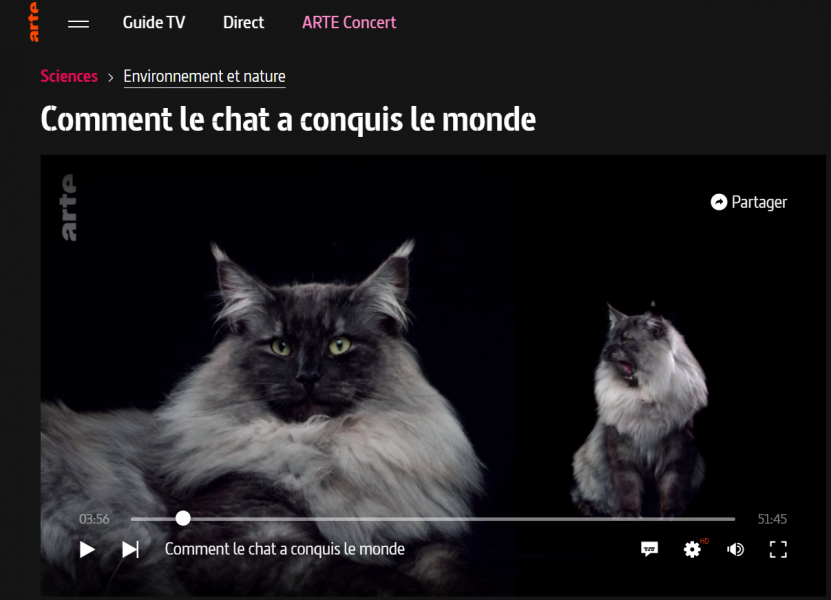 comment le chat a conquis le monde comment le chat a conquis le monde