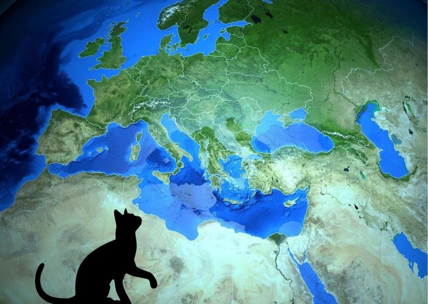 Chat-Monde Chat-Monde