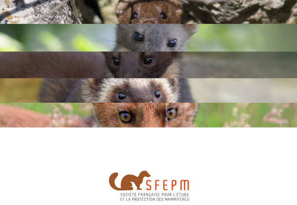 Avis-ESOD-SFEPM-2022 Avis-ESOD-SFEPM-2022