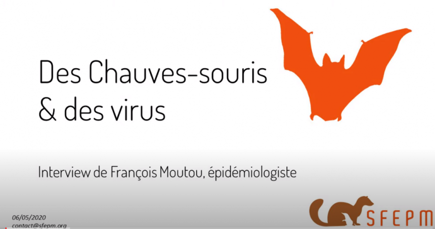 Vidéo sur la chaîne YouTube de la SFEPM Vidéo sur la chaîne YouTube de la SFEPM