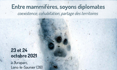 41colloque-programme