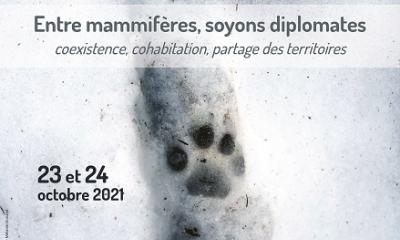 affiche 41colloqueSFEPM