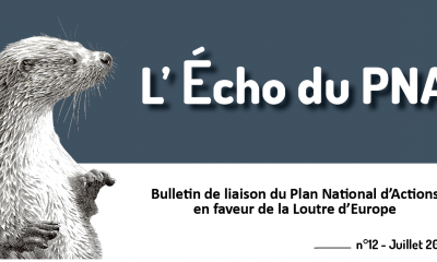 Echo du PNA Loutre 12