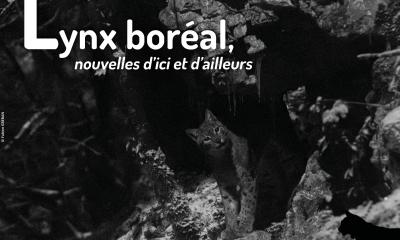 Feuille d'actus Lynx_21_mars2025-web