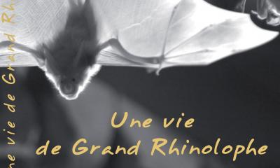 Jaquette du film " Une vie de Grand rhinolophe "