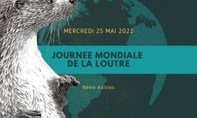 Journee-mondiale-loutre-2022