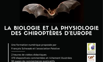 La biologie et la physiologie des Chiroptères d'Europe