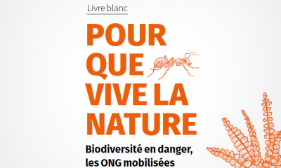 Livre blanc pour la biodiversité - mai 2020