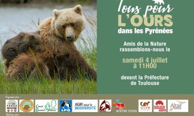 Tous pour l'Ours le 4 juillet 2020 à Toulouse